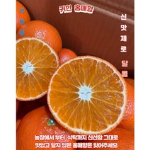 제주 홍매향 3kg 5kg 고당도 썬레드 미하야 감귤 선물용 신품종, 선물용5kg(25과수내외)