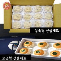 나주배 선물세트 5kg 5키로 실속형 고급형 옵션 선물용 제수용 신고배 꿀배 배세트 배선물세트 재수용 햇배 과일 추석 명절 선물 박스, 나주배 고급형 선물세트 5kg(6~8과 내외)