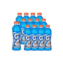 게토레이 블루볼트 이온음료 600mlx12펫/스포츠음료/음료수/이온음료 탕비실 가정용 사무실용, 게토레이 블루볼트 이온음료 600, 12개, 600ml