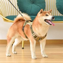 펫먼트 투톤 초경량 하네스, 베이지