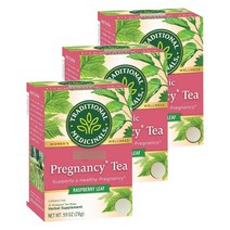 트레디셔널메디시널스 프레그넌시 허벌 우먼스 티 라즈베리 리프, 1.75g, 48개입