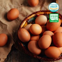 [더 시선] 쫀득쫀득 무항생제+HACCP 인증 영양간식 구운란 총30개+맛소금