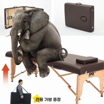 마사지 베드 접이식 휴대용 반영구 미용 안마 침대 원목, 블랙