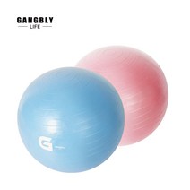 강블리 G시리즈 짐볼 55cm 65cm 요가/스트레칭/필라테스 (팬톤컬러), 핑크