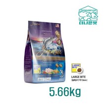 지그니쳐 송어연어 5.66kg 레귤러