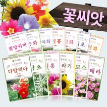 꽃 야생화 고급화훼종자 희귀 씨앗모음전 - 한련화 수레국화 구절초 매발톱 다알리아 코스모스 메리골드 백일홍 꽃양귀비, CA31=신경초(미모사)꽃씨앗1g!