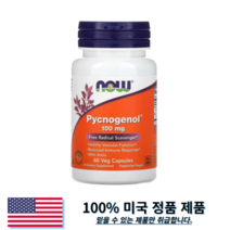 나우푸드 피크노제놀 100 mg 베지 캡슐 60 정 Pycnogenol 소나무 껍질 추출물