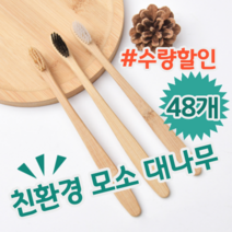 환경을 생각한다면 생분해 친환경 모소 대나무 칫솔, 48개 (개당 518원)