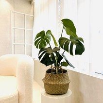 해초바구니 왕골 라탄바구니, 옵션3, 1개