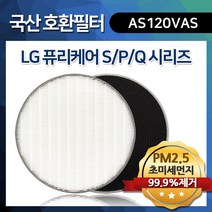 LG전자 퓨리케어 360도 공기청정기 필터, AAFTDS101