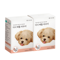 코코다움 다시 배출 파우더 강아지 신장 강화 활성화 영양파우더, 2박스