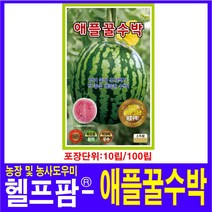 헬프팜 애플꿀수박 10립 KS종묘 수박씨 종자 씨앗