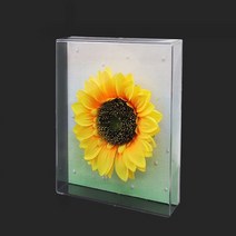 아크릴액자(약34x28x5cm/공간높이 약3.7cm) 박스액자 / 관액자 / 입체 공간 액자 / 프리져브드 액자