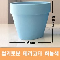 컬러 토분(하늘색) 화분 미니토분 다육이 테라코타[지름6cmX높이6.5cm] 수입도매