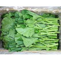 야채왕 아욱 중량별