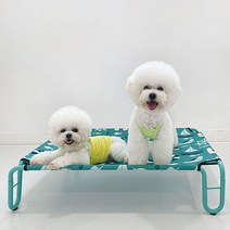 유앤펫 강아지 고양이 슬립 스탠드 해먹L(null), 그린
