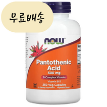 판토텐산 500mg 250 정 나우푸드 비타민 B5 여드름 영양제 해외직구, 1개, 250정, 250개