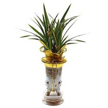 황용채홍 동양란 동양난 서양란 서양난 승진, 물받침대