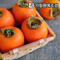 감나무 유실수 가림원예조경, 차량단감 R3~4cm 결실주