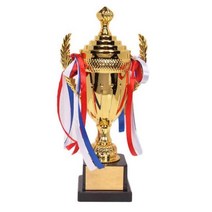 2023트로피 금속 대학 스포츠 트로피 시상식 금도금 기념품 공예 컵, 29cm