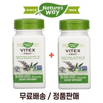 네이쳐스웨이 바이텍스 과일 후루츠 100캡슐 2팩