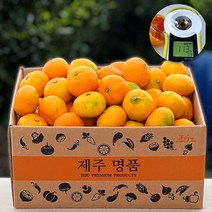 [제주 산지직송] 당도선별 고당도 프리미엄 하우스귤 감귤 당도보장 못난이 가정용 선물용 제주도귤, f. (선물) 하우스귤 5kg 로얄대과 (40/55과)