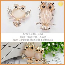 부엉이 카네이션 브로치 추천 어버이날 스승의날 학교 선생님 선물 병원 행사 어르신 꽃 기념일 조화 미니 가성비 부모님 기프트