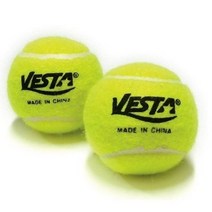 VESTA 테니스 연습용 공, 혼합색상, 20개