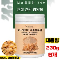 직장인 운동 골프엘보 관절 보스웰리아 대용량 분말 230 6통 팔꿈치 어깨 허리 무릎 관절 에좋은 영양제 추천 유향나무 추출 분말 파우더 가루 테니스엘보 우 퀘르세틴 테르펜 셀레늄
