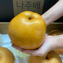 고당도 프리미엄 나주배 신고배 햇배 특품 선물세트, 1박스, 15kg (21-25과)