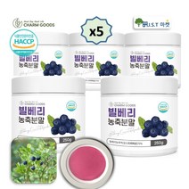 빌베리 가루 분말 농축 추출물 빌베리 루테인 효능, 5병, 250g