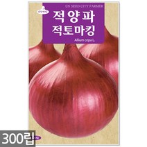 방울토마토 씨앗 10립 - 씨 토마토씨앗 방울토마토씨앗 방울토마토씨 채소씨앗 과일씨앗 주말농장 텃밭, 14_적양파적토마킹(300립)