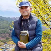 국내산 자연산 지리산 천연벌꿀 100% 산수유꿀 1.2kg 2.4kg 양봉농장 산지직송 벌꿀화분 1kg