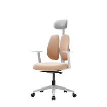듀오백 골드 D2500G-DASW 패브릭 의자 좌판슬라이드, 블루그린
