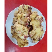 햇생강 흙생강 생강 국내산생강 1kg 3kg 5kg 10kg
