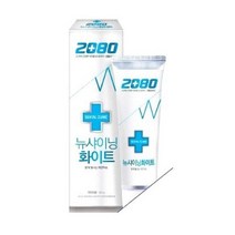 2080 덴탈크리닉 뉴샤이닝 화이트 치약, 100g, 5개