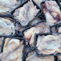 동해안 국내산 급냉 손질오징어 1kg (7~12미), 1개