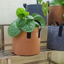 베란다 부직포 대파 텃밭 키우기 화분 40x30 10갤런, 1화분10갤런-블랙