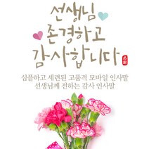 [바로제작] 스승의날 인사말 스승의날카네이션 스승의날문구 스승의날카드 스승의은혜 감사인사말 스승의날이벤트 카네이션 안부인사 5월15일, 6 선생님 은혜에 감사드립니다