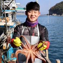 청정해역 남해 100% 선주 직송 최고급 돌문어 100% 환불 가능, 자숙 문어 1.3kg-1.5kg