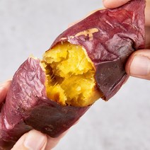 [한가락]최상품 경매제품 가락시장 첫경매 고구마다이어트 한입 베니하루카 꿀 고구마 3kg 10kg, 특 고구마 [10kg], 1개