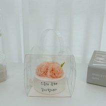 메시지 카네이션 케이크 석고방향제 포장 키트, 투명케이크상자