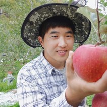 [바트로사과] 농부아빠가 직접재배하는 청송 사과 (가정용 흠과), 1박스, 가정용 8kg / 대중소혼합