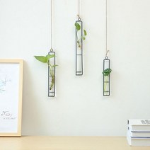 후니네가게 화분 행잉 플랜트 플랜테리어 인테리어 예쁜 화병 프레임 벽 걸이, 소형