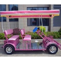 레저용 말 전기 관광 자동차 전기 이륜차 더블 친자 자전거 4륜 자전거 4륜 자전거, 4인용 2열