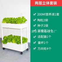 유기농 수경 재배기 친환경 화분 야채 상추 텃밭 실내 거실 베란다 교육 자동 급수 선물, 단일사이즈, 2층 재배기