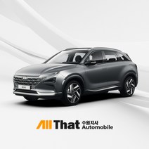 넥쏘 세류동 신차패키지 & 썬팅