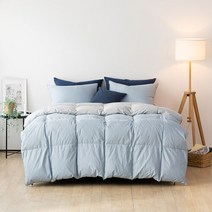 [AK PLAZA] [소프라움](신학기)포렌 구스다운 차렵이불세트 S(2컬러)