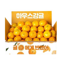 [조은돌담] 제주직송 새콤달콤 하우스감귤 대과(쥬스용) 8kg 1박스