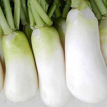 햇무 알타리한단 알타리무한박스 세척무 세척알타리무, 절임 총각무_5kg